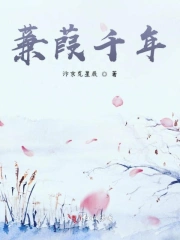 蒹葭千年