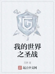 我的世界之圣战