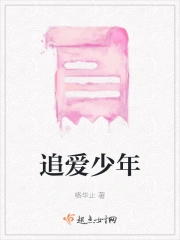 追爱少年