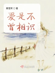 爱是不曾相识