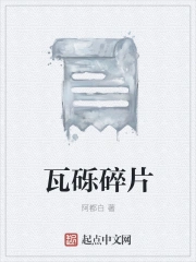 瓦砾碎片
