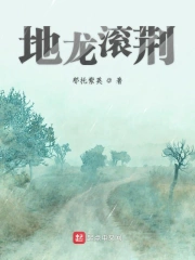 地龙滚荆