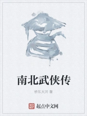 南北武侠传
