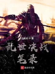 乱世决战笔录
