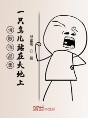 一只鸟儿站在大地上