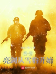 战役:亮剑从雪豹开始