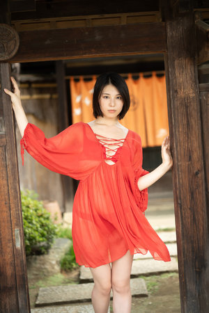 木叶之灭龙魔法师
