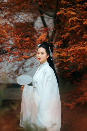 希尔白鹿黎